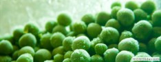 frozen-peas